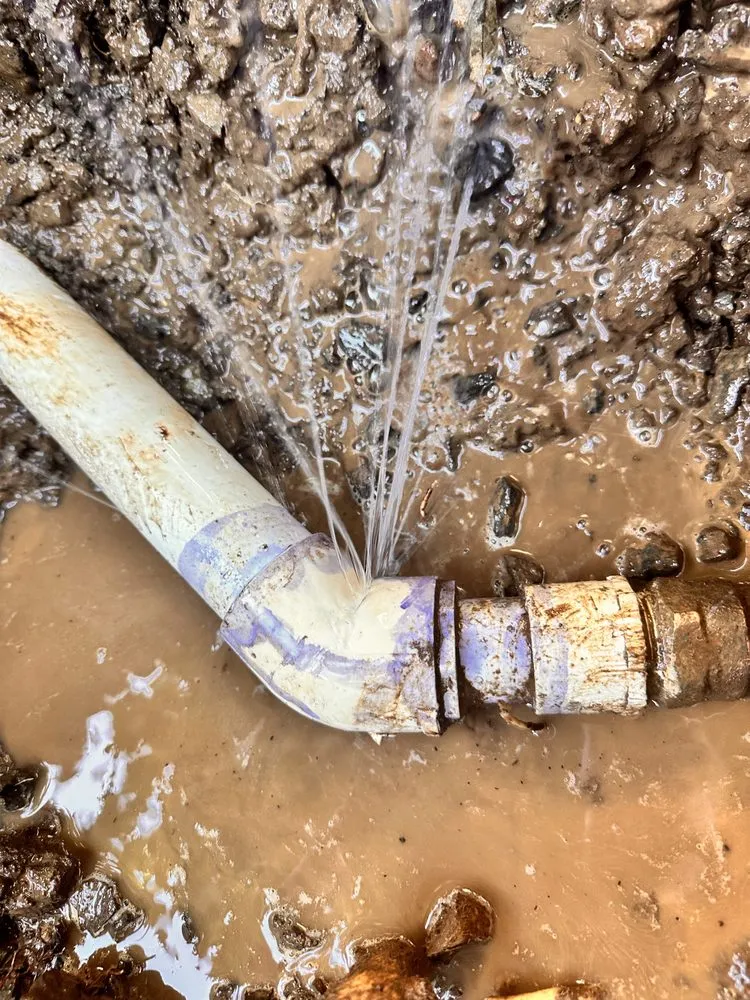 Slide of Mountain View Services