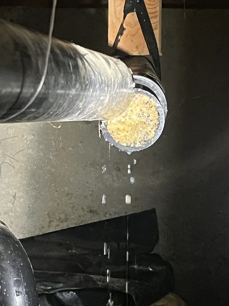 Slide of Mountain View Services