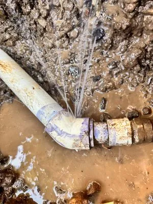 Mountain View Services