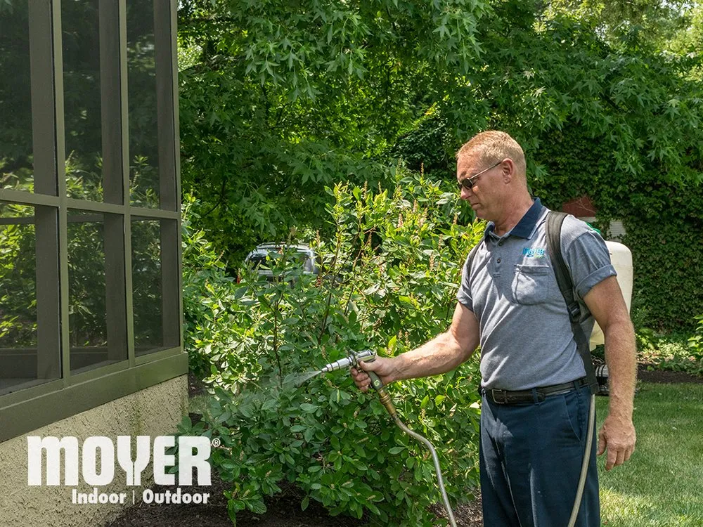 Affordable drain cleaning experts serving Newtown Square, PA - Moyer Pest Control