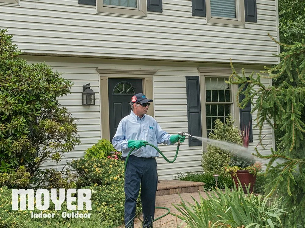 Emergency drain cleaning service in Newtown Square, PA - Moyer Pest Control