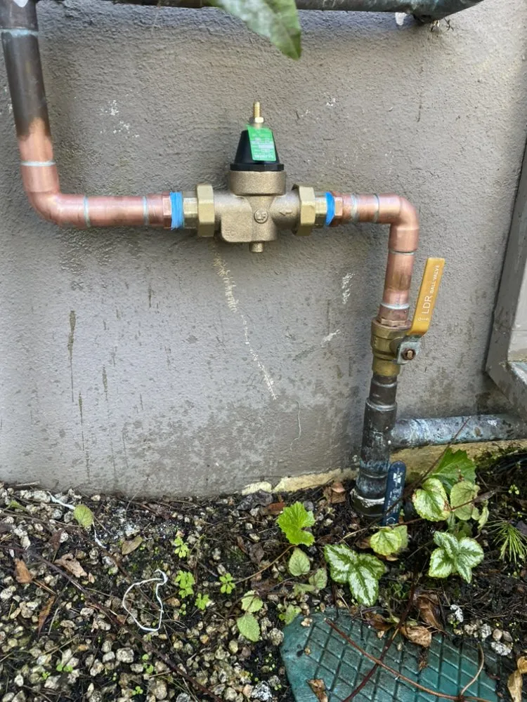 Slide of MP Plumbing Rooter