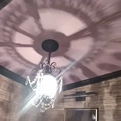 Slide of Mr Alligator Renovations