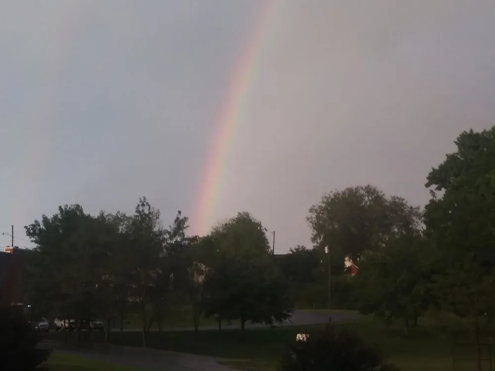 Slide of Mr Bias Handyman