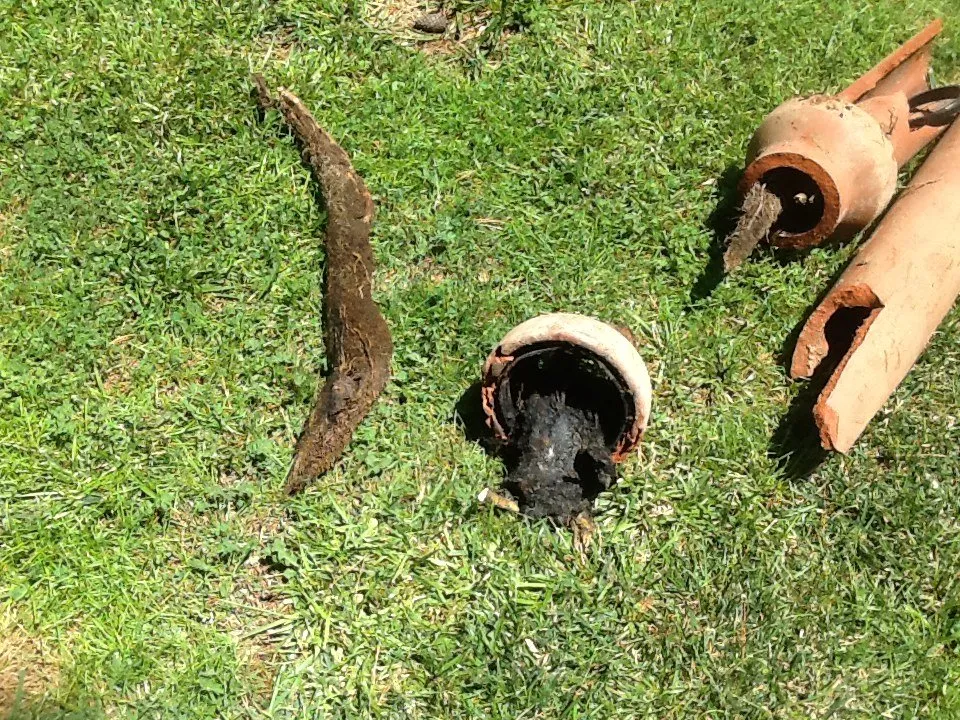 Slide of Mr B's Plumbing Sewer & Drain