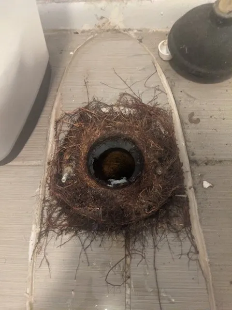 Affordable emergency plumbing in Marana, AZ by Mr B's Plumbing Sewer & Drain