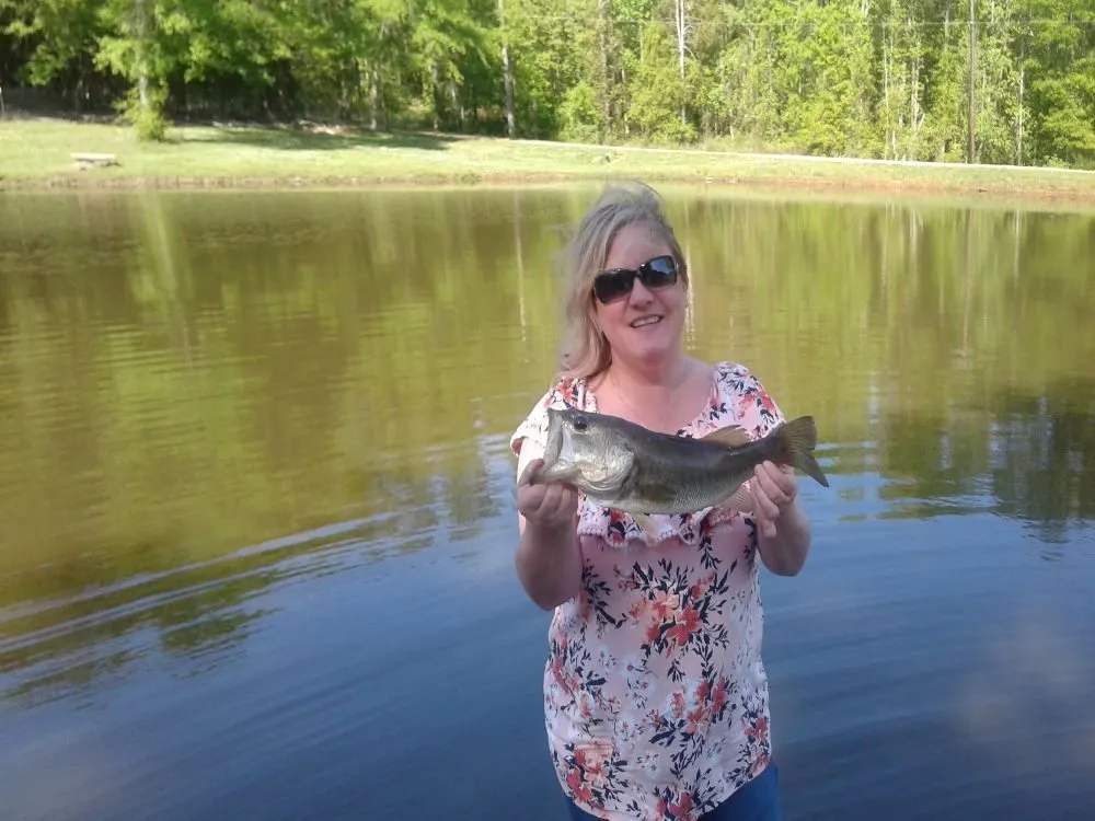 Slide of Mr Clean Drain