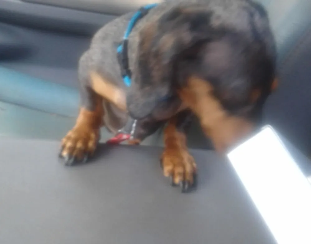 Slide of Mr Clean Drain