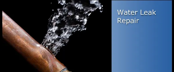 Slide of Mr Dan's Plumbing