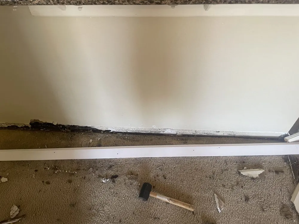 Slide of Mr Do It All