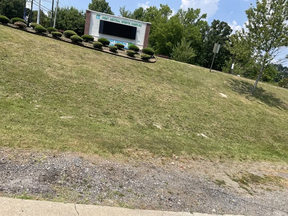 Slide of Mr Do It All