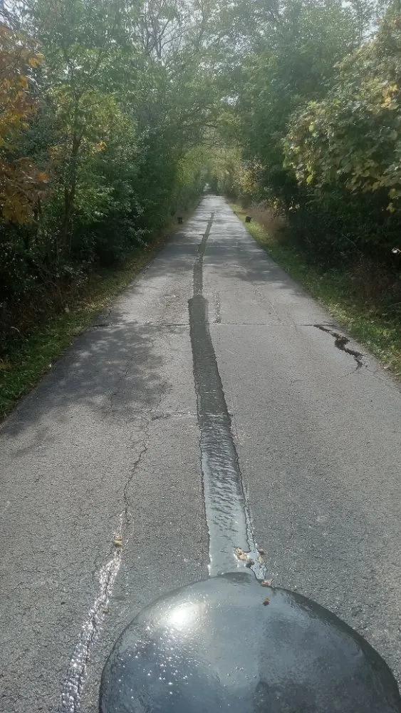 Slide of Mr Do It All