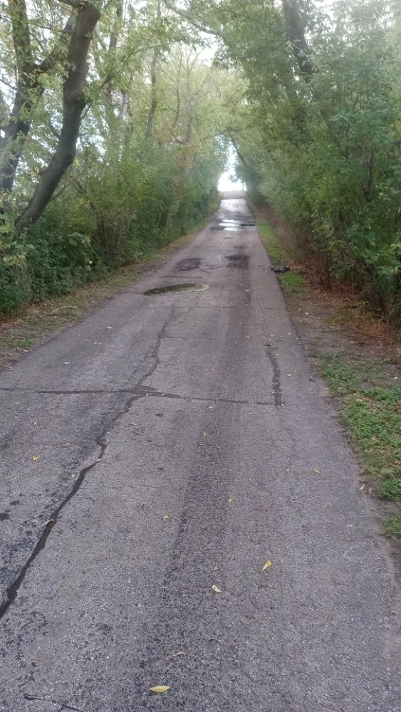 Slide of Mr Do It All