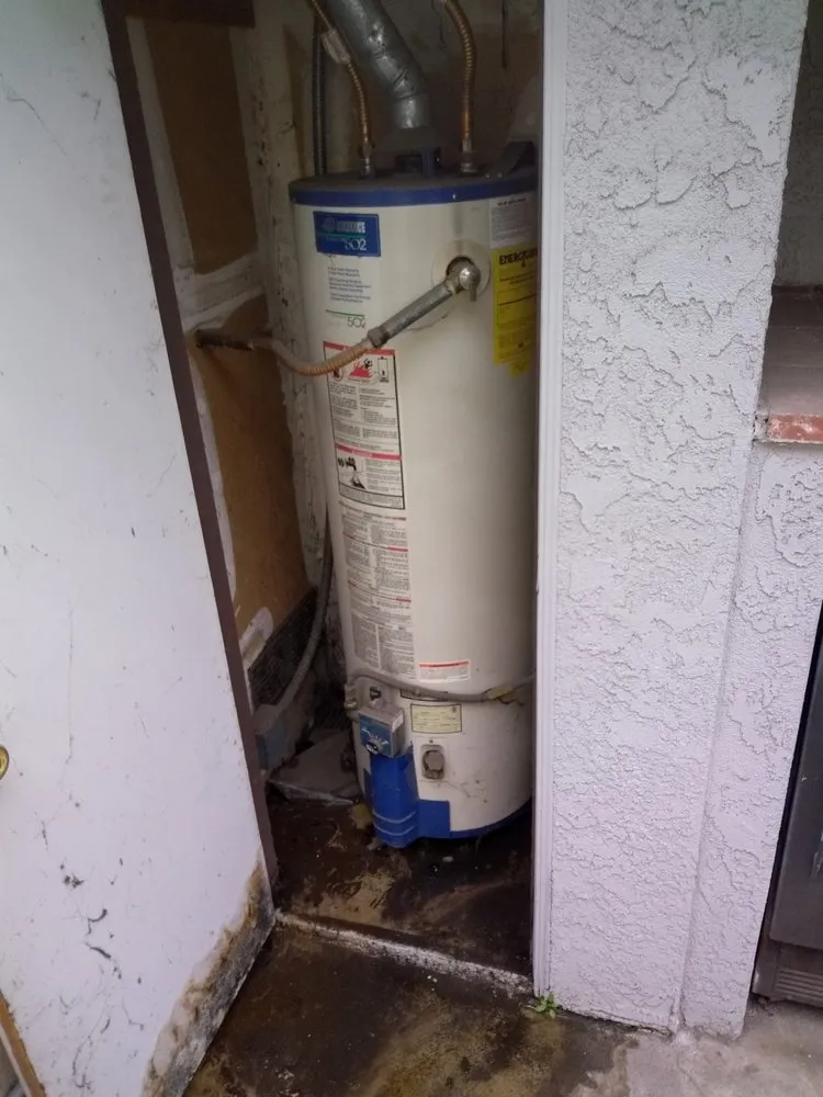 Slide of Mr. Drain Saver