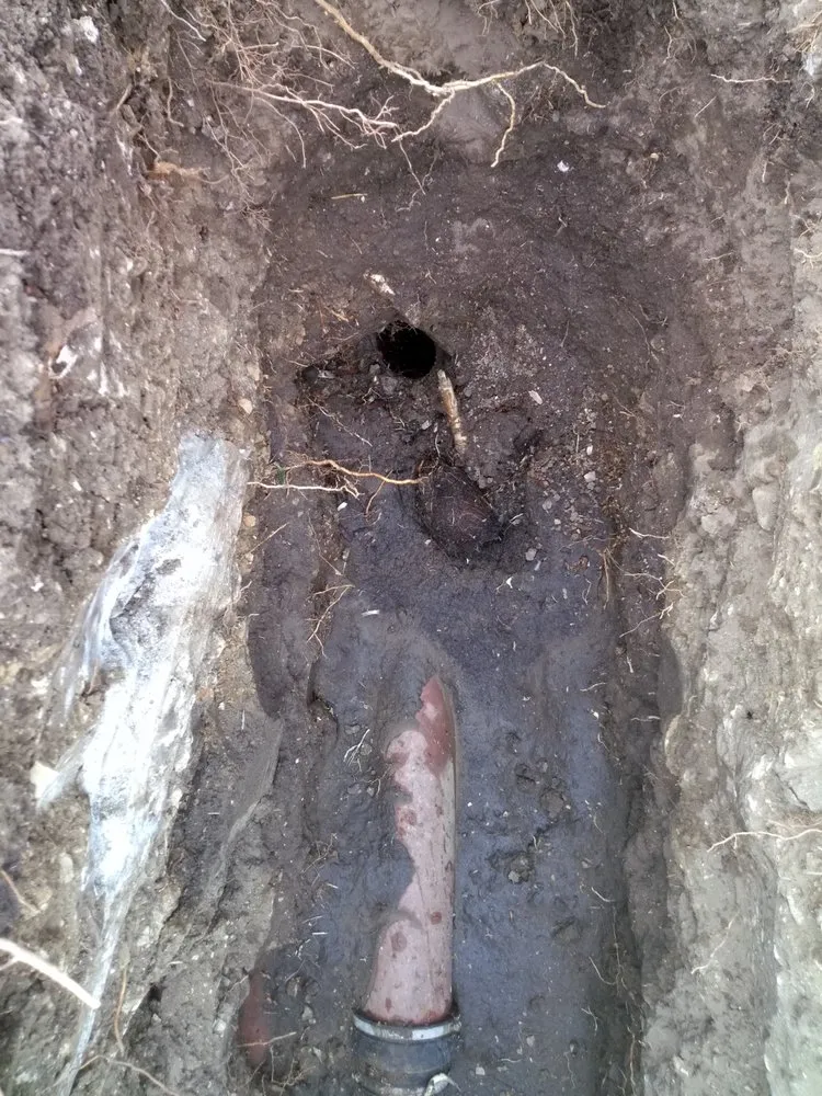 Slide of Mr. Drain Saver