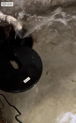 Mr Drain The Sewer Specialist Logo