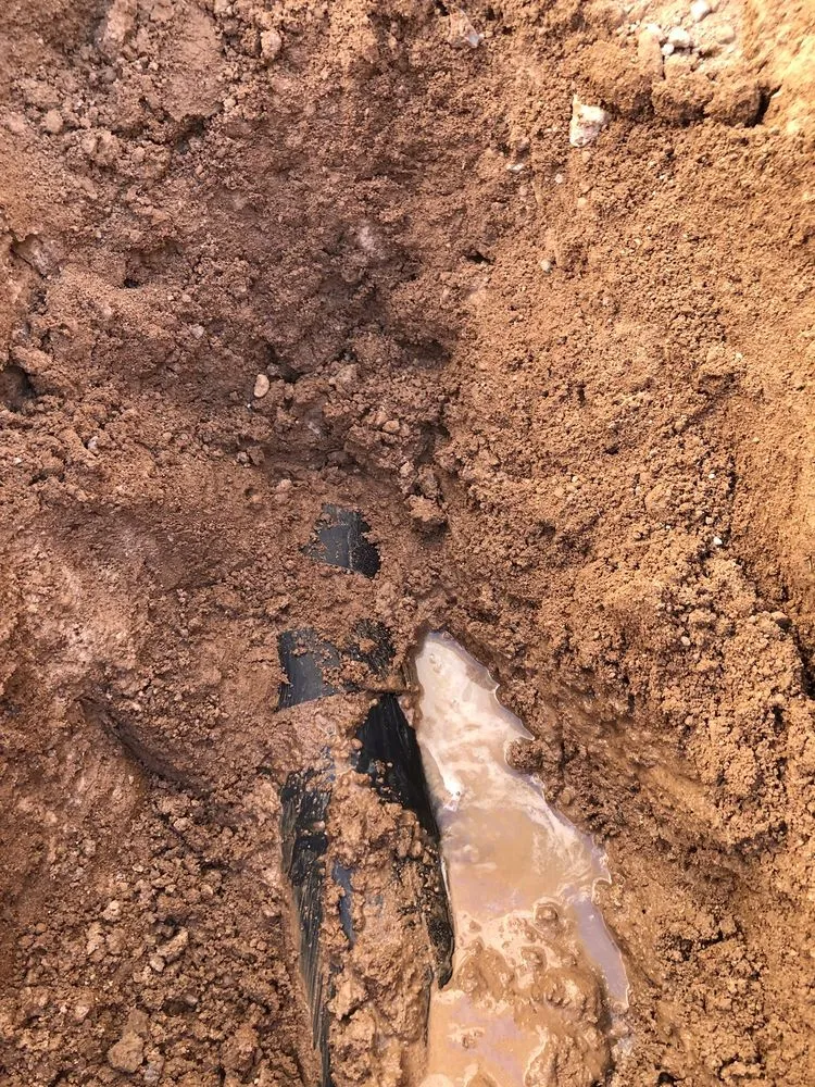 Slide of Mr DrainJet