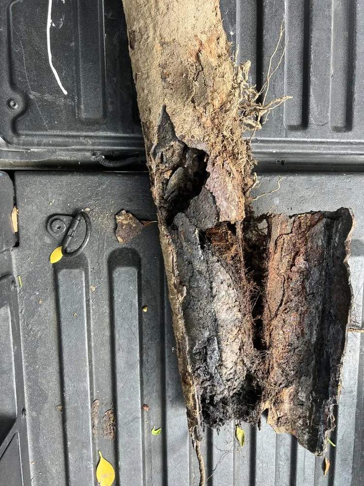 Slide of Mr Drains Rooter & Plumbing