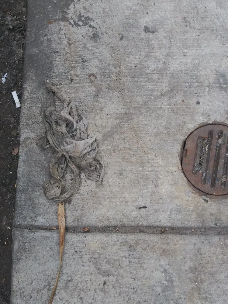 Slide of Mr. D's Drain Cleaning & Plumbing Service