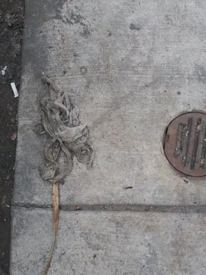 Mr. D's Drain Cleaning & Plumbing Service Logo