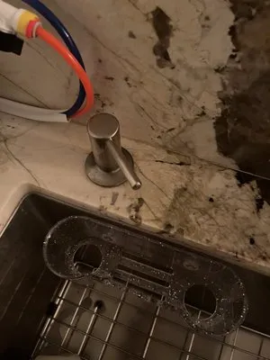 Mr Flowright Plumbing and Rooter Logo