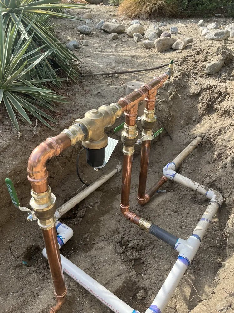 Slide of Mr. Goodwater