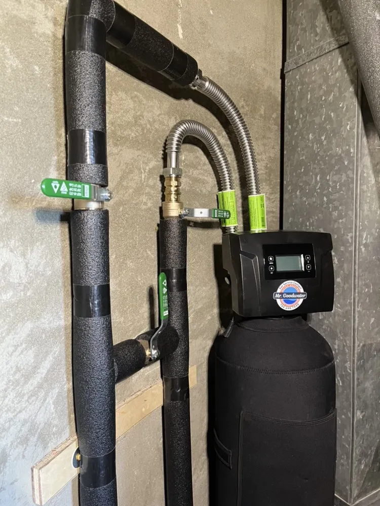 Slide of Mr. Goodwater