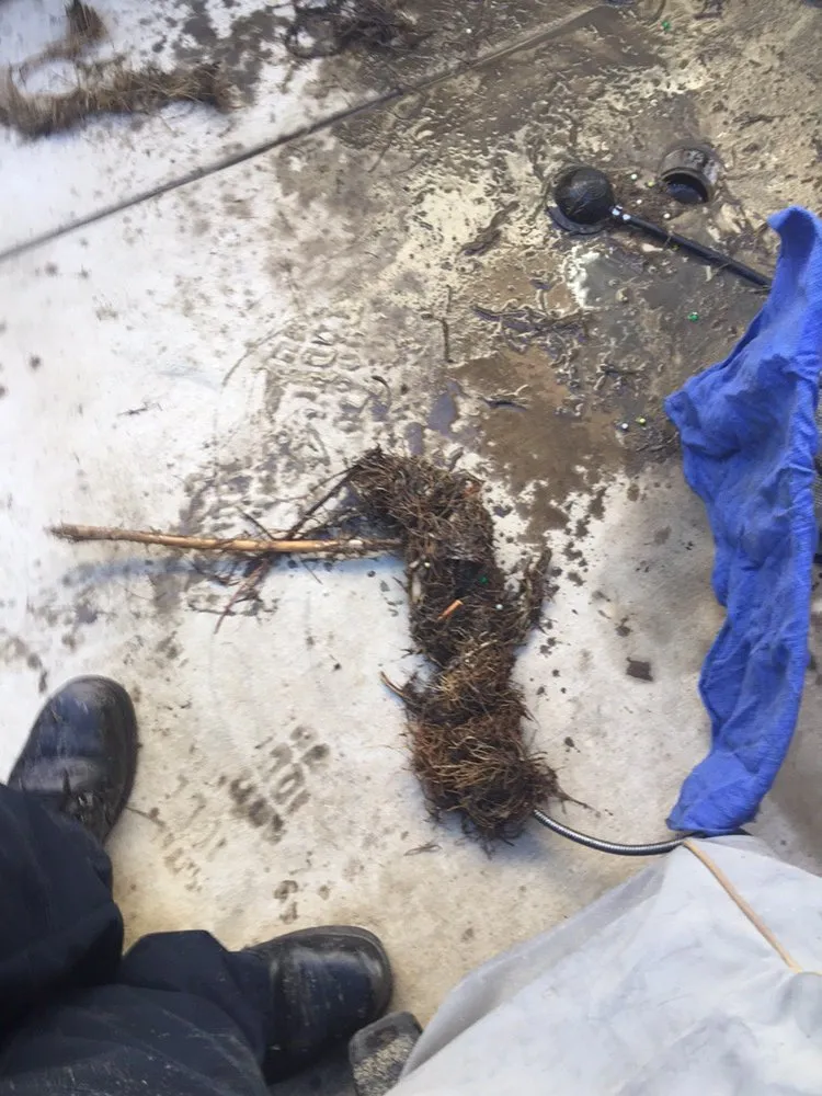 Slide of Mr G's Plumbing