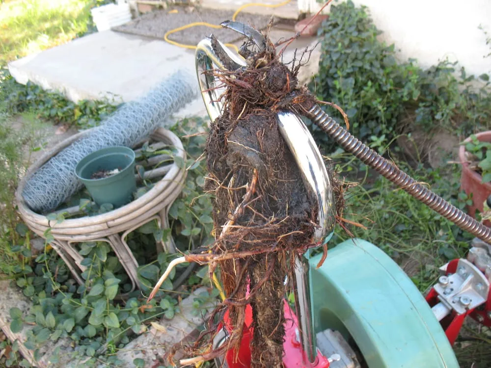 Slide of Mr G's Plumbing