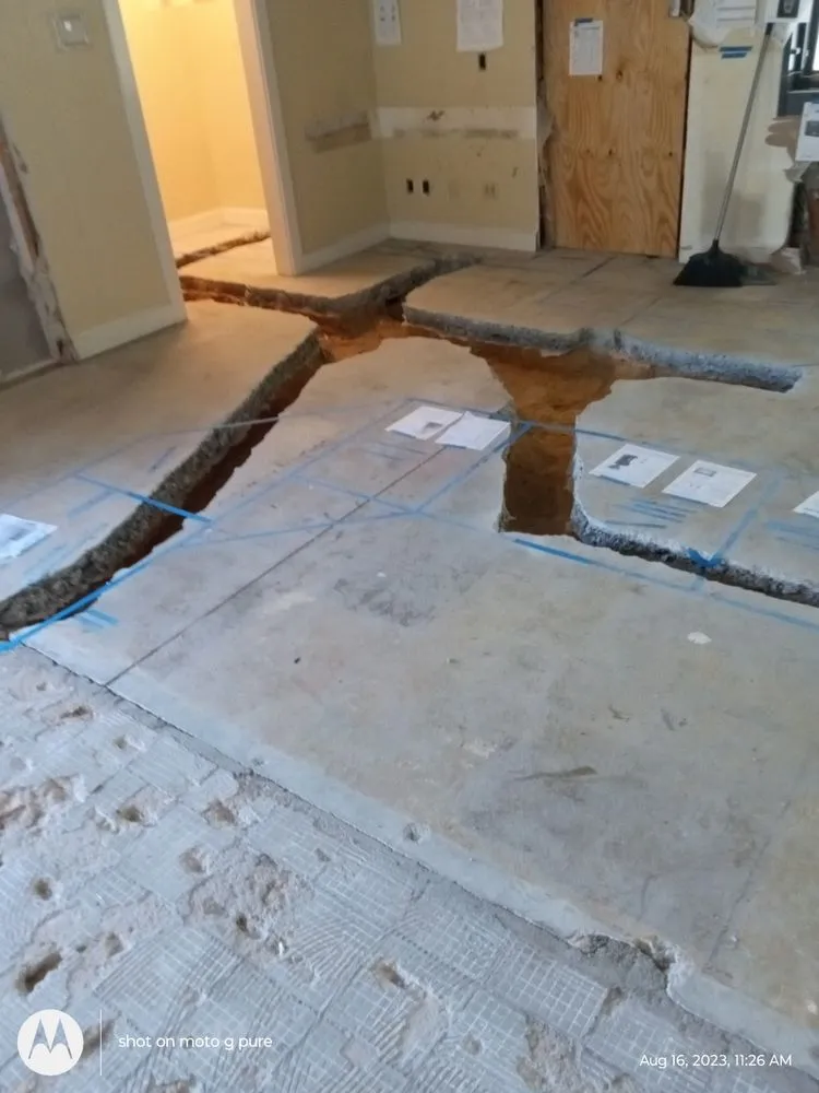 Slide of Mr Handy Hunter