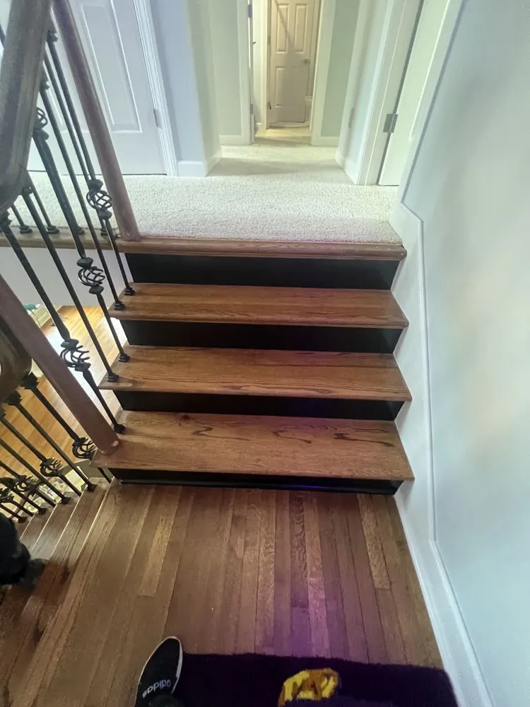 Slide of Mr. Honey-Do