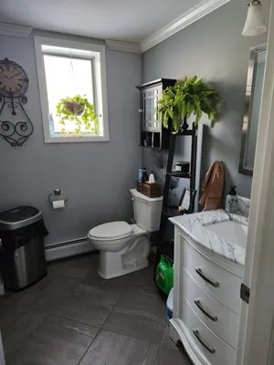 Mr Kirby Plumbing Logo