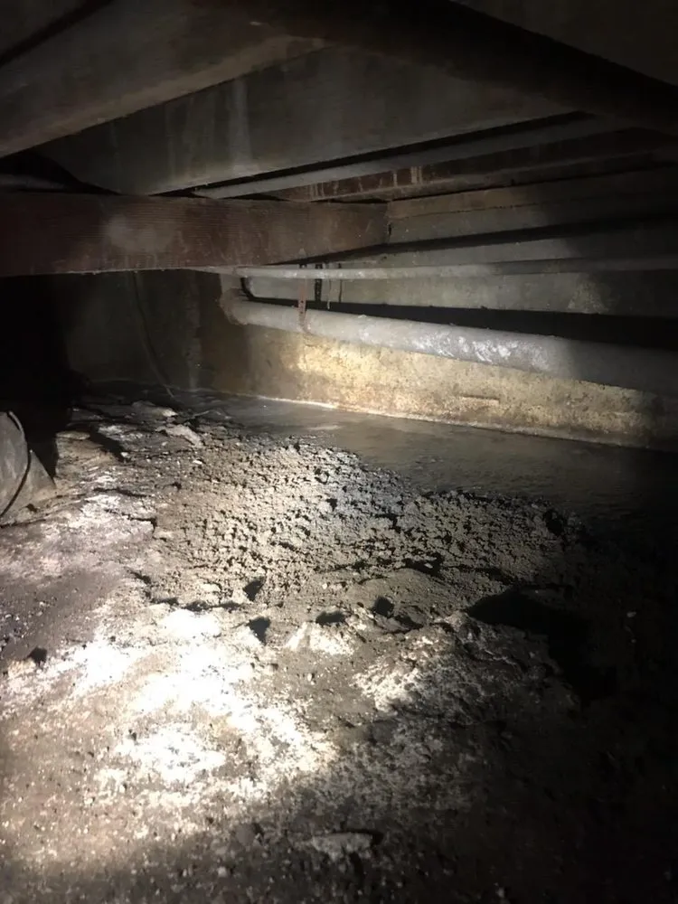 Slide of Mr. Lucky Cat Plumbing