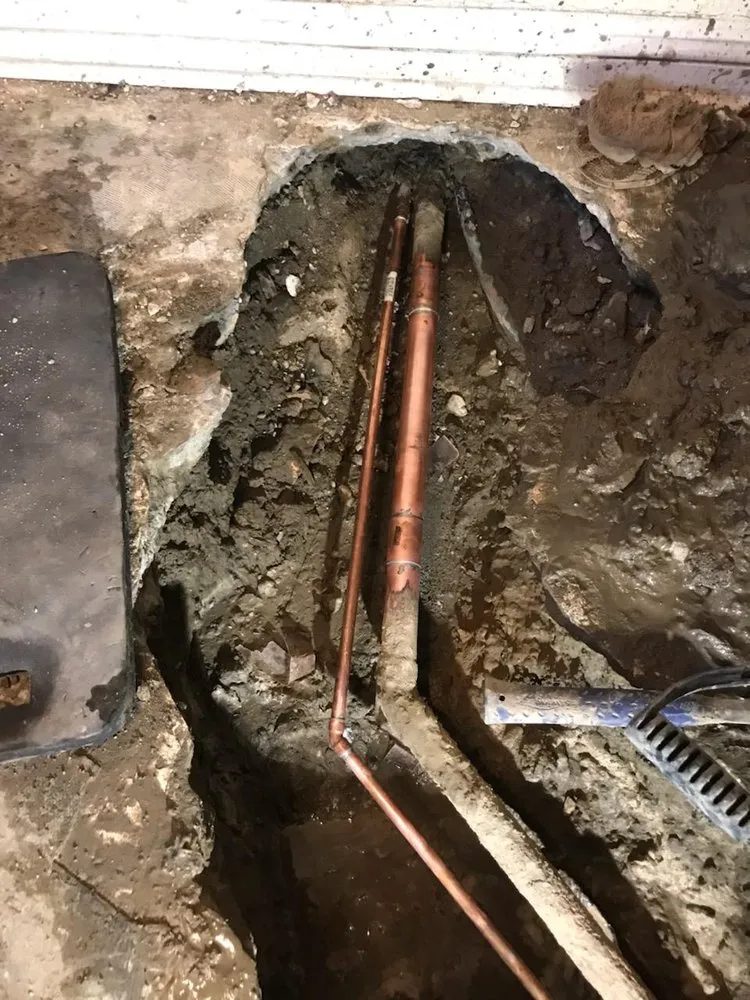 Slide of Mr. Lucky Cat Plumbing