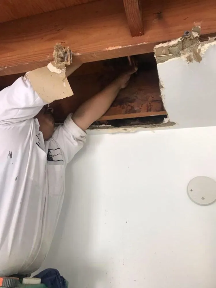 Slide of Mr. Lucky Cat Plumbing