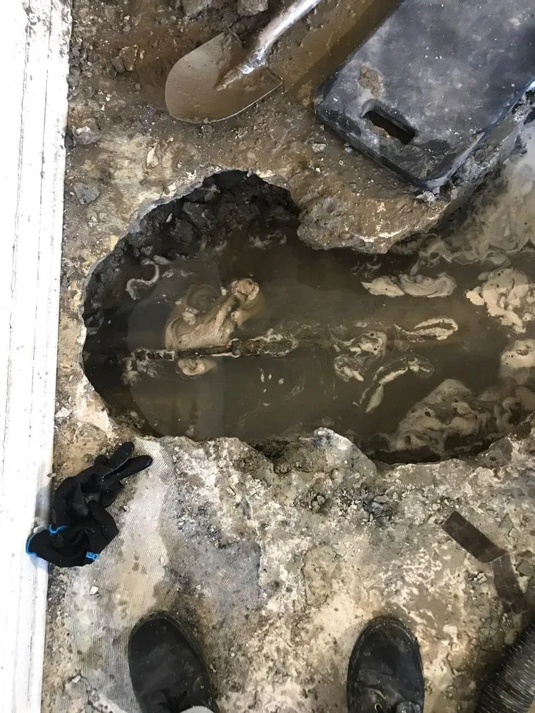 Slide of Mr. Lucky Cat Plumbing