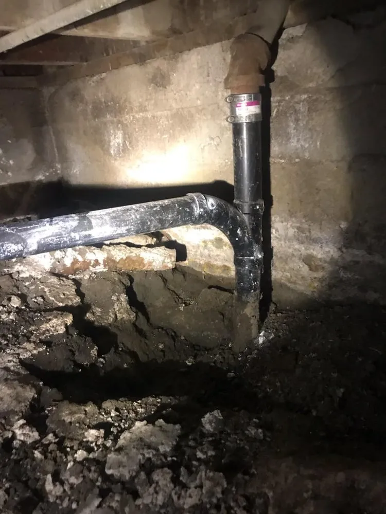 Affordable plumbing repair in Long Beach, CA by Mr. Lucky Cat Plumbing