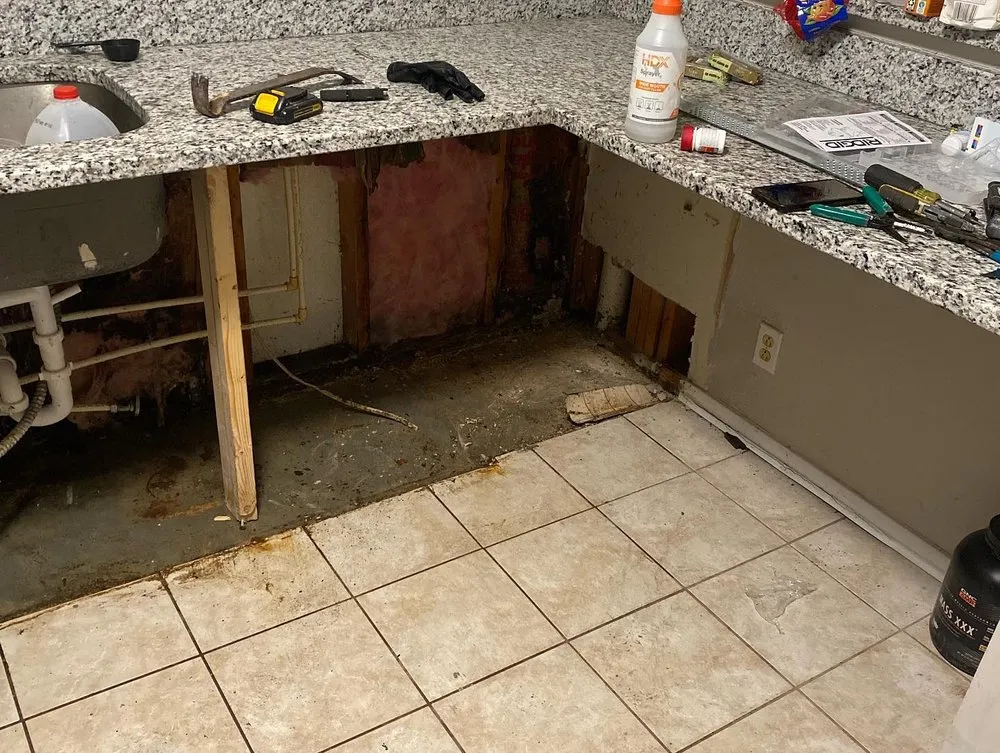 Slide of Mr Maintenance