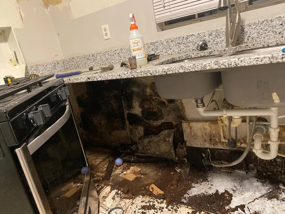 Slide of Mr Maintenance