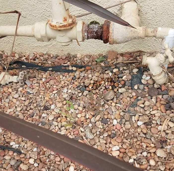 Slide of Mr Marcus Plumbing