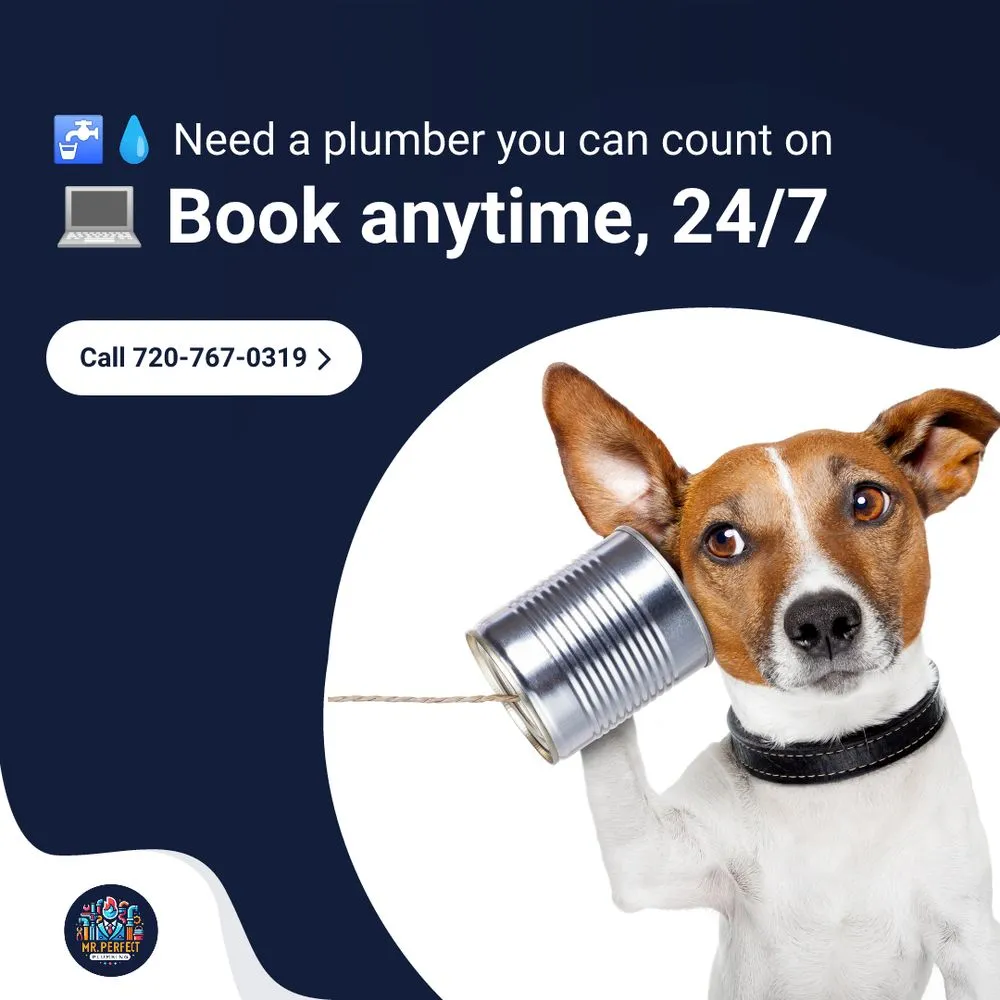 Slide of Mr Perfect Plumbing