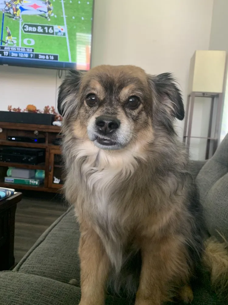 Slide of Mr Piper Plumbing & Drains