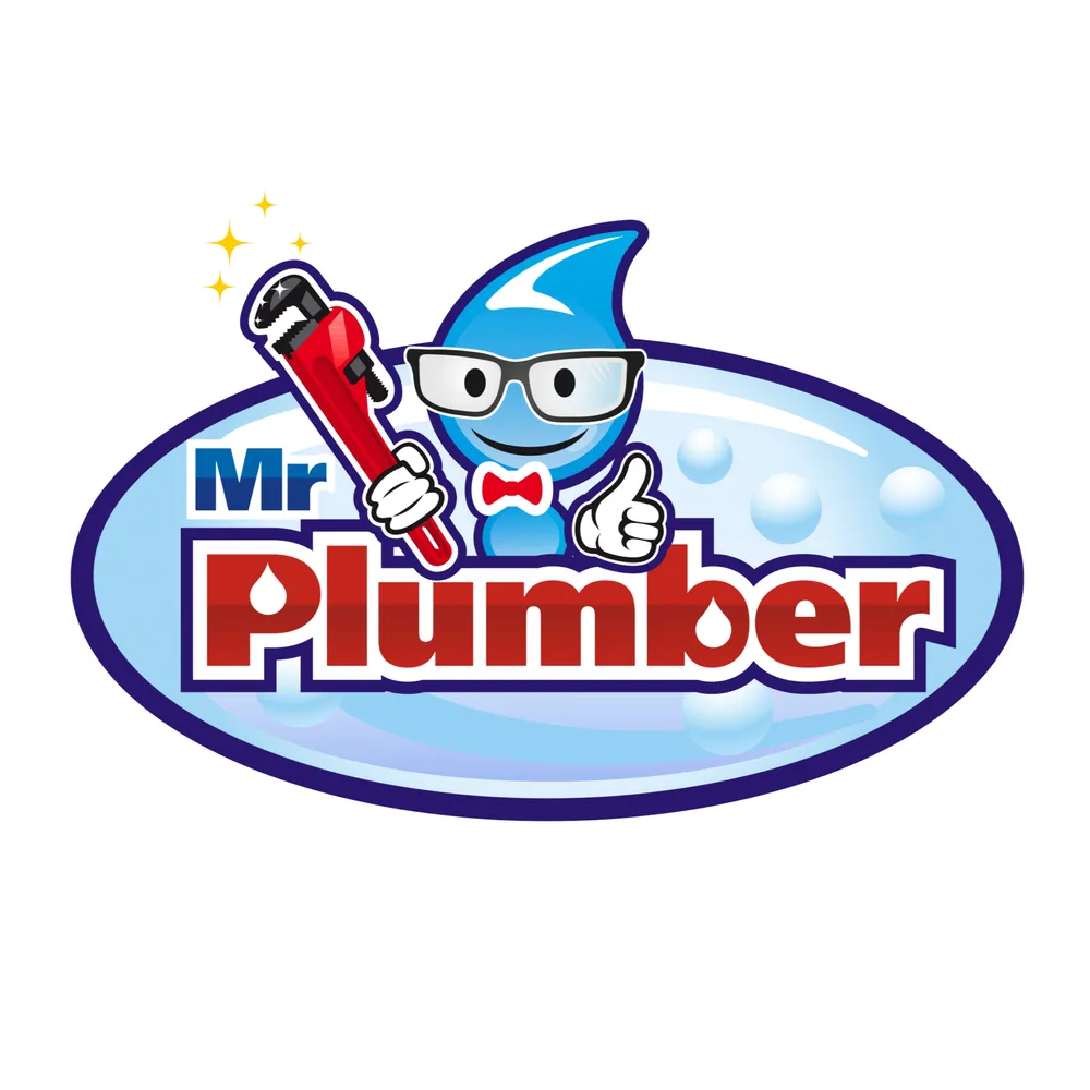 Slide of Mr Plumber - Austin