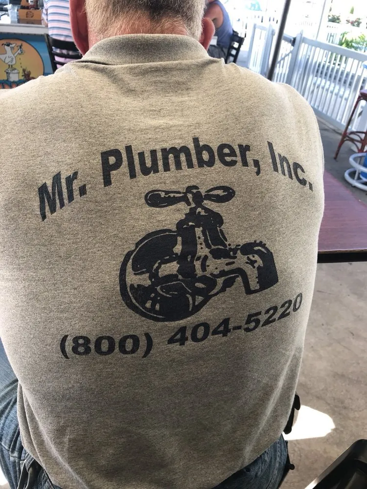 Slide of Mr Plumber