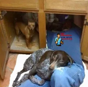 Slide of Mr. Plumber