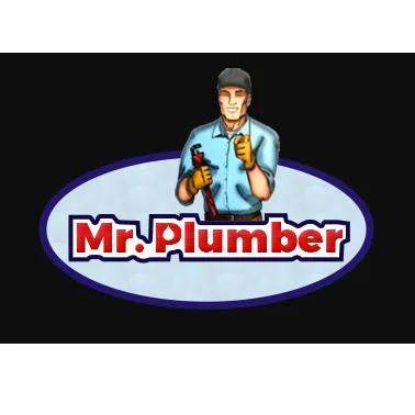 Slide of Mr. Plumber