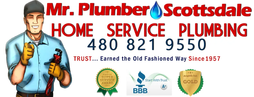 Slide of Mr. Plumber