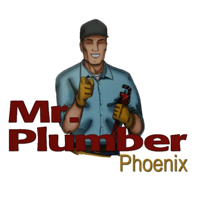 Slide of Mr. Plumber