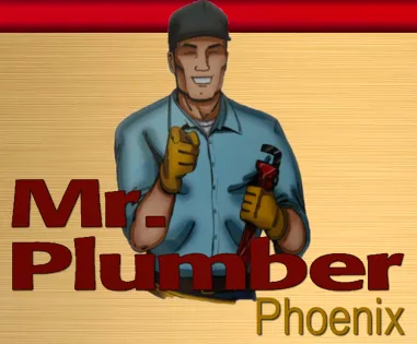 Slide of Mr. Plumber