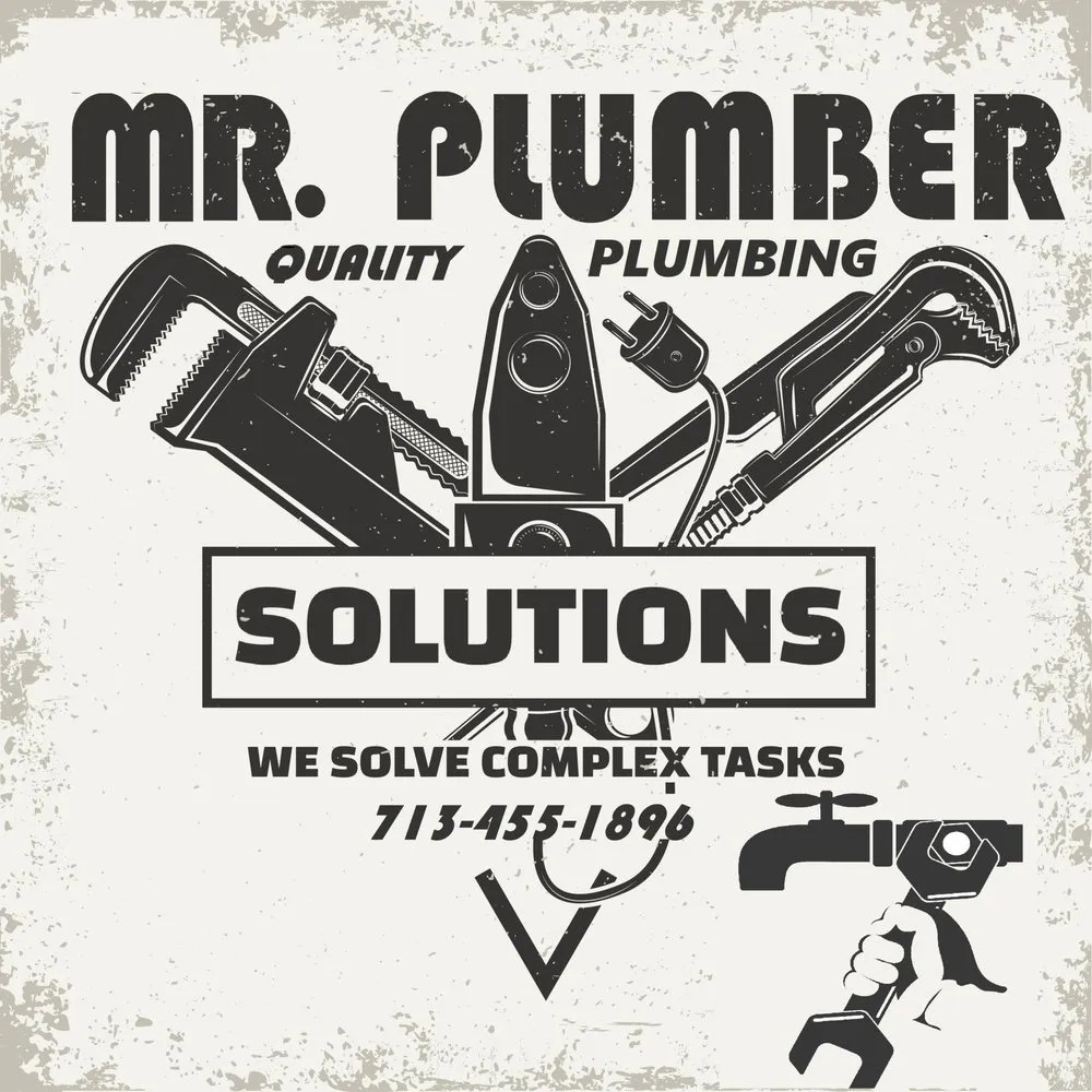 Slide of Mr. Plumber